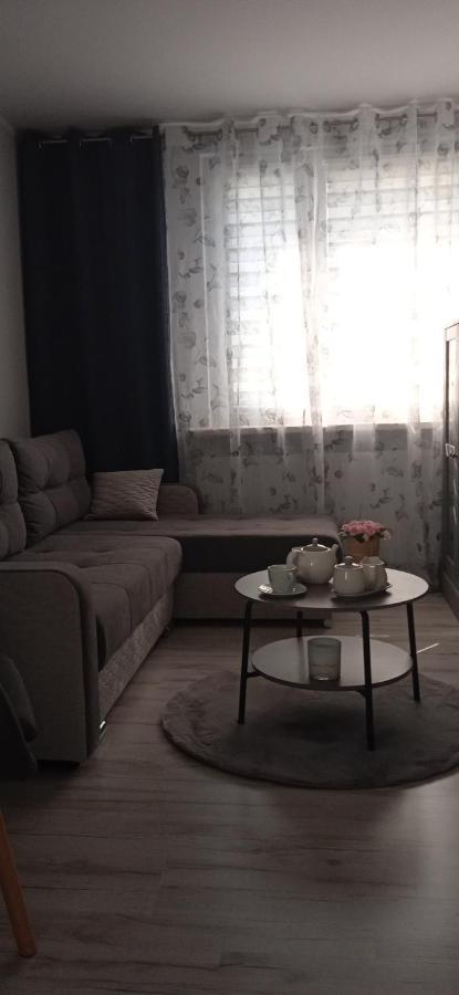 Apartament Klonowa Poznań Zewnętrze zdjęcie